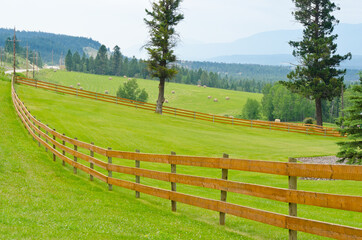 Fototapeta na wymiar wooden fence with green field and rolled hay