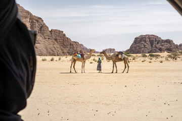 View of a camel caravan in the sahara desert from inside a car, Chad
