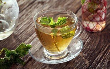 Young nettles in a cup of herbal tea