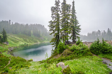 Fragment of foggy and rainy Bagley Lakes Trail at Mount Baker Park in Washington, USA