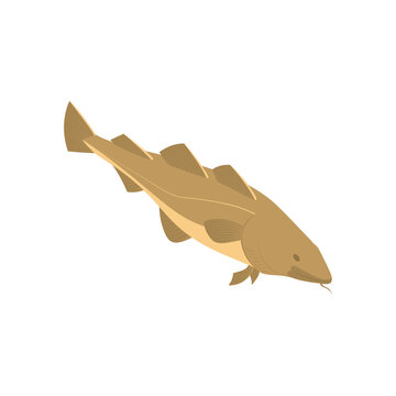 recommend clip art: Isometric Floating Fish Composition