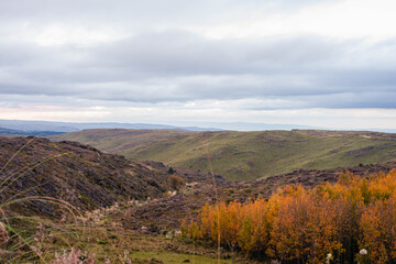 autumn landscape in the mountains