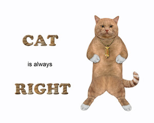 A reddish cat in a fish pendant is standing. Cat is always right. White background. Isolated.