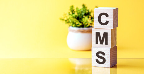 Three wooden cubes with letters - cms - content management system, on blue table, space for text in right. Front view concepts, flower in the background.