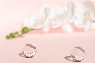 Cosmetic showcase for product presentation with flowers on backdrop. Pink floral trendy modern backdrop with transparent acrylic decor. Minimal concept, pastel color, copy space.