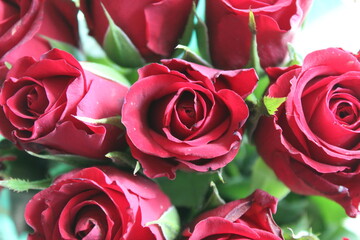 Red roses bouquet