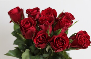 bouquet of red roses
