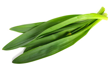 Allium Aflatunense Leaves and Bulb. Isolated on White.