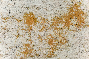 Close up of abstract old concrete wall texture with yellow dried moss. Old wall wallpaper
