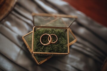 rings in a box
