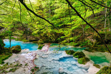Obraz premium Urederra river in Amescoa Valley, Navarra, Spain.