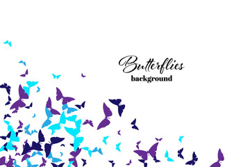 Summer Background with Blue Tones Vector Butterflies.