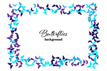 Summer Background with Blue Tones Vector Butterflies. Frame