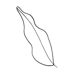 vector branch with leaves black and white. Minimalistic botanical illustration, hand drawing