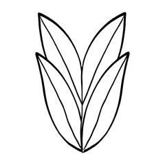 vector branch with leaves black and white. Minimalistic botanical illustration, hand drawing