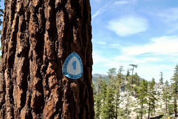 Tahoe Rim Trail marker on a tree. Blue and white Tahoe Rim Trail logo with a map of Lake Tahoe and...