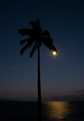 Full Moon on Edge of Palm Frond Silhouette Like Earring with Glow on Ocean - 429099788
