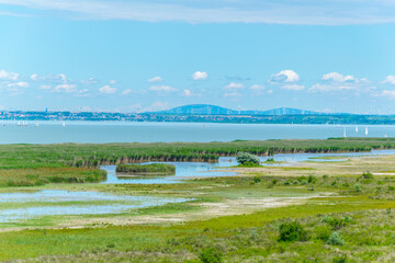 neusiedlersee lake on the border between Austria and Hungary
