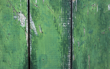 background of a wooden, green wall, with a time-damaged structure 