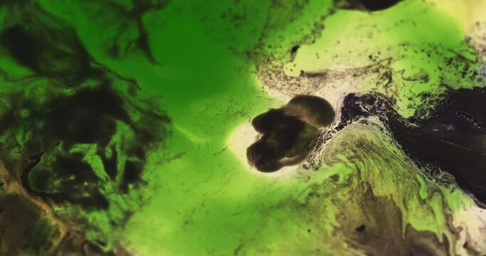 Macro Textures with Vibrant Neon Color Palette. Abstract Background Made with Oil Mixed with Green and Black Dye, Ink, and Paint.