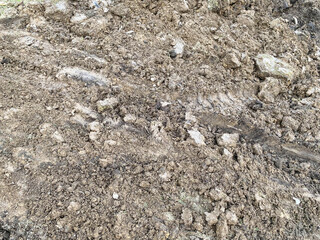 Texture of a brown, crumbly, loose, dense, fertile, natural, dry earth with granules, pieces of soil. The background