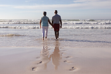 Rear view of senior african american couple holding hands while walking on the beach