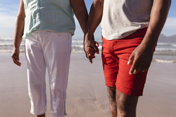 Mid section of african american couple holding hands standing on the beach - Powered by Adobe