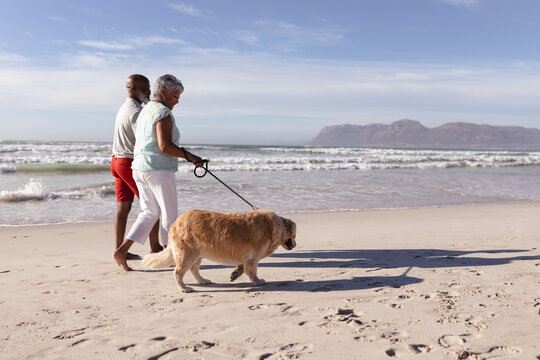 Senior african american couple walking a dog at the beach