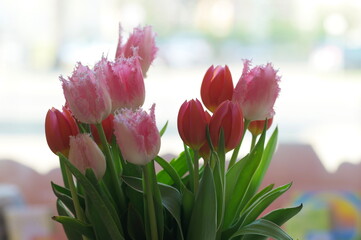 close up of a bouquet of tulips
