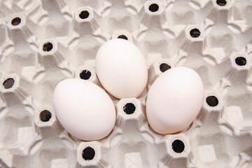 a Eggs in a a Eggs in a cardboard tray and suitable for transporting and transporting whole eggs