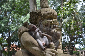 Fototapeta na wymiar temple monkey