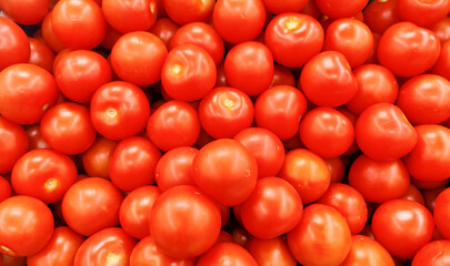 Group of tomatoes background