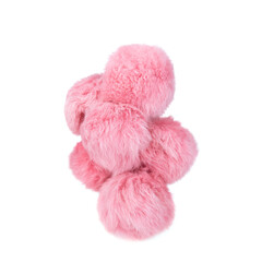 Close up of pink rabbit fur pompoms isolated on white background.