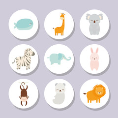 baby animals icons