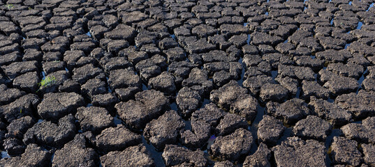 Earth cracked because of drought. The global shortage of water on the planet. Global warming concept.