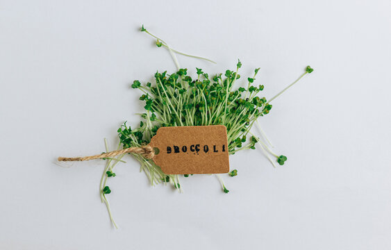 Broccoli microgreens on a white background. Healthy food concept. Top view.