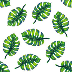 Watercolor illustration of tropical leaves. With a high resolution for print