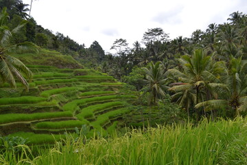 Fototapeta premium travel