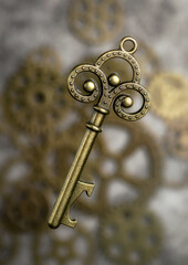 Old vintage gold key. Steampunk style image.