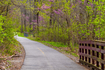 Naklejka premium Horizontal photo of a walking trail through the woods on a beautiful spring day
