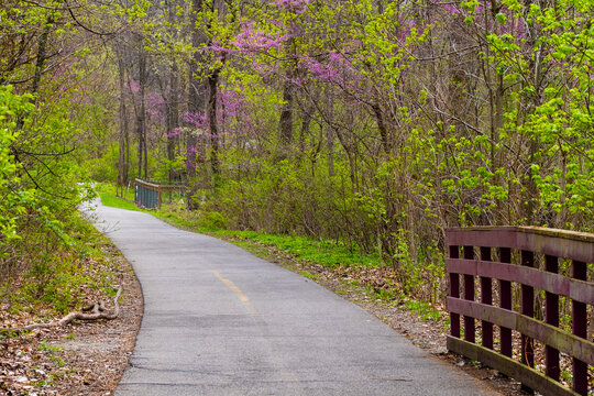 Horizontal photo of a walking trail through the woods on a beautiful spring day