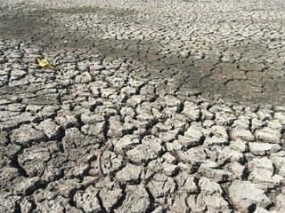 dry broken soil in country Thailand