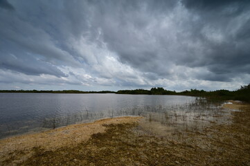 Storm clouds gathering over Sweet Bay Pond in Everglades National Park.