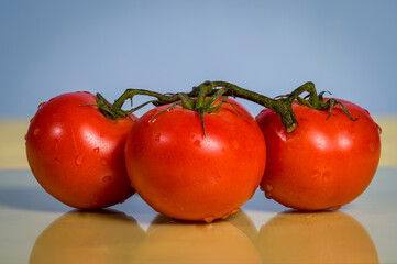 Tomatoes on a blue background with low reflection