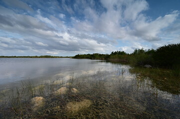 Storm clouds gathering over Sweet Bay Pond in Everglades National Park.