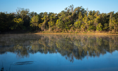 Fototapeta na wymiar Ripples of jumping fish in lake with reflection of trees, The Great Trinity Forest, Dallas, Texas