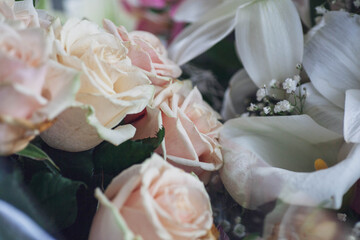 Beautiful vintage background of wildflowers. Delicate flowers close-up with a blurred background.