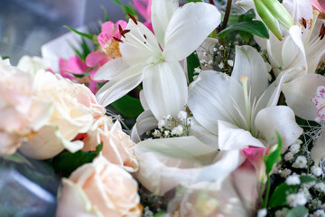 Beautiful vintage background of wildflowers. Delicate flowers close-up with a blurred background.