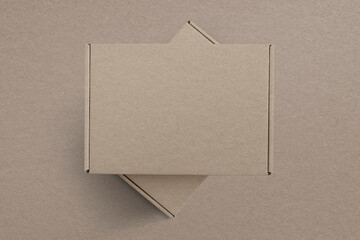 Kraft paper brown box product packaging with design space flat lay