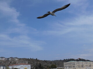 Turkey, Istanbul, Bosphorus